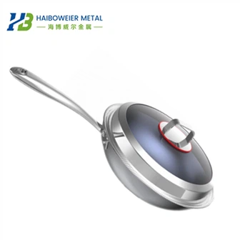 סיר מרוכב טיטניום